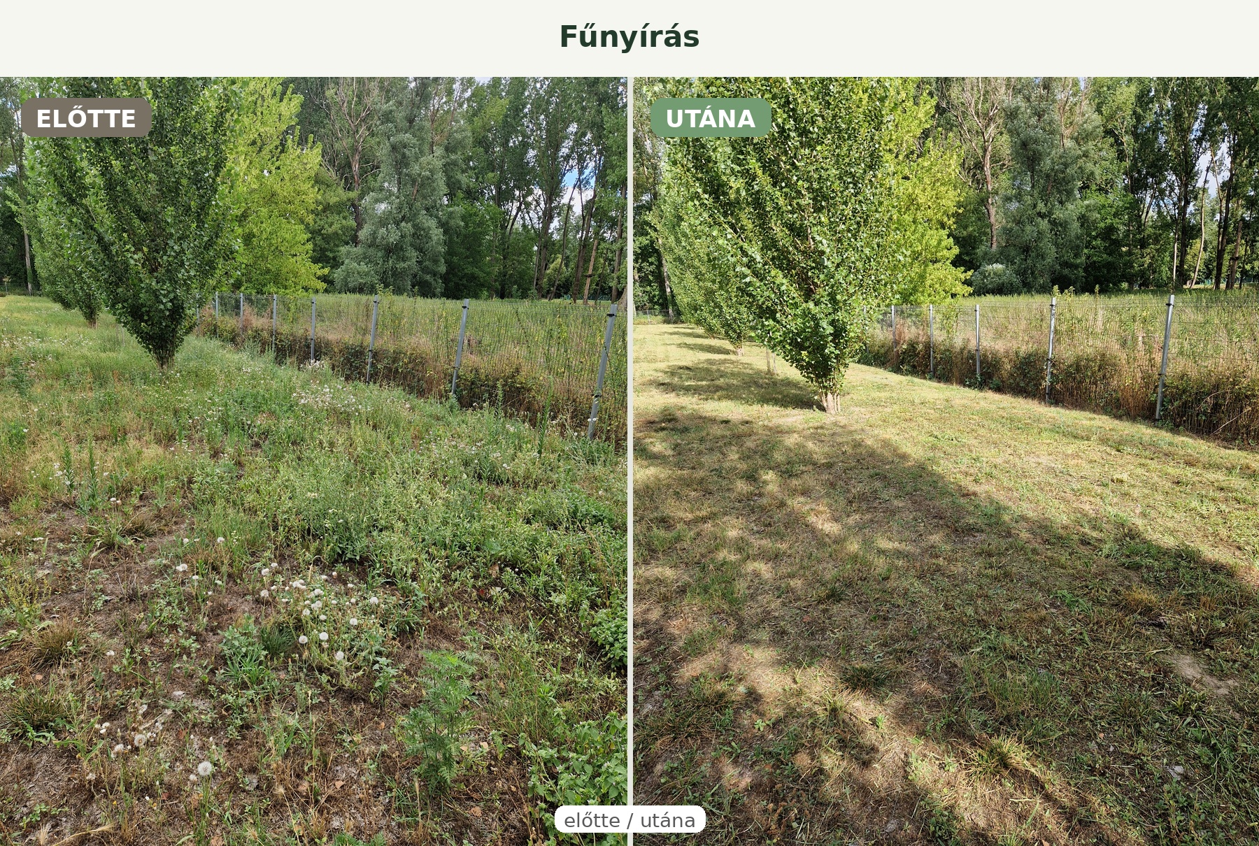 Fűnyírás előtte és utána